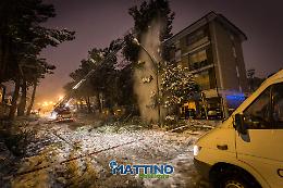 Potenza, il peso della neve fa cadere gli alberi. Ancora disagi in città. Ecco la Gallery