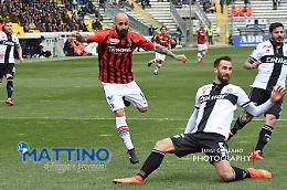 Da Parma un solo grido: "Grazie Foggia!" 