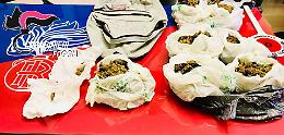 Vieste, in casa nascondeva quasi un chilo di marijuana: arrestato 19enne