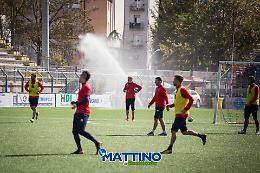 Potenza calcio, quattro leoni messi ko dal Covid