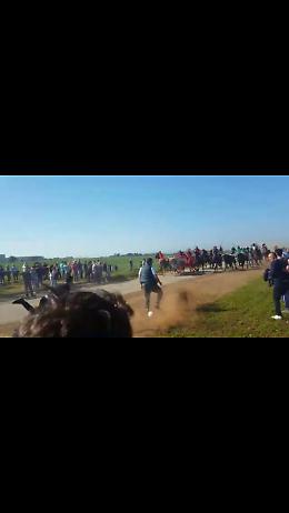 Chieuti, pensionato morto durante la corsa dei buoi, al momento nessun indagato