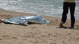 Siponto:  sulla spiaggia il cadavere di una donna