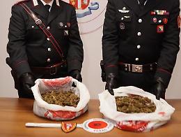 Droga, viaggiava con oltre un chilo di marijuana sulla 106 Jonica