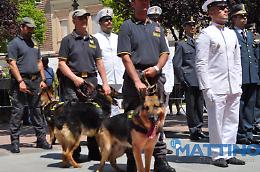 Foggia, arrivano i rinforzi e a gennaio calano furti e rapine