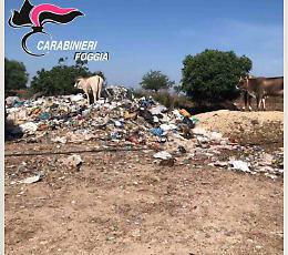 Apricena: 20 mila tonnellate di rifiuti abbandonate nel Parco Nazionale del Gargano