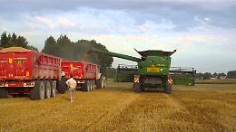 Crolla (finalmente) l'importazione di grano canadese in Puglia e Coldiretti invoca la Cun a Foggia