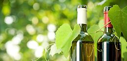 Produzione di vino "bio, la Basilicata è la prima regione in Italia