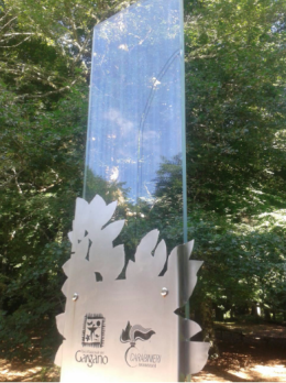 Foresta Umbra, vandalizzata stele UNESCO ad un anno dal riconoscimento