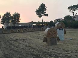 Benvenuti a Candela, dove il grano oggi e domani vi sorride e fa festa 