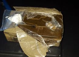 San Severo, i "Baschi Verdi" recuperano mezzo chilo di droga
