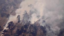 Denunciato il piromane del Pollino: ha appiccato undici incendi solo lo scorso anno