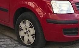 Manfredonia, intimidazione al responsabile del canile. Per Enpa potrebbe essere ritorsione