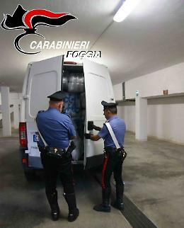 Lesina, intercettato furgone carico di 8 quintali di marijuana: in manette due albanesi 