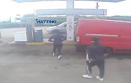 Statale 16, banditi in azione: rapinata la stazione di servizio La Torre