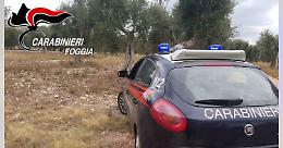 Furti nelle campagne: sei arresti 