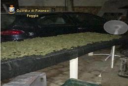 Cerignola detenevano  22 chili di marijuana: arrestati 