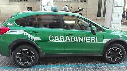 Scanzano Jonico, versamento illecito di liquami in area protetta: 2 denunce