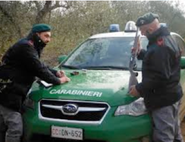 Crimini ambientali, in Basilicata 850 reati nel 2021