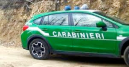 
Fondi Ue: nei guai la titolare di un’Azienda Agricola di Brienza
