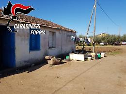 Arriva la task force interforze per combattere il caporalato in provincia di Foggia