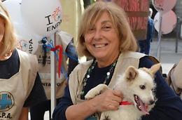 Aggredita la presidente dell'Enpa di San Severo, Luciana Pedata: "colpevole" di andare a spasso coi suoi cani
