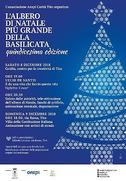 A Tito l'albero di Natale più grande della Basilicata e del Sud Italia