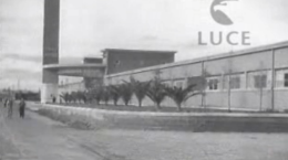Oggi, 8 dicembre 1936, Gaetano Postiglione inaugura la Cartiera di Foggia