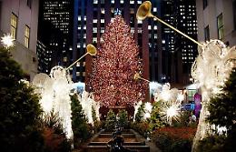 L’albero di Natale? Una tradizione greca legata ad Apollo
