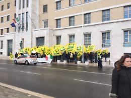 Olivicoltura, persi 317 milioni nel 2018: Coldiretti protesta contro Regione e Governo