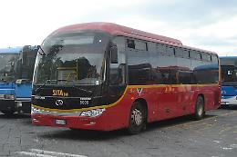 Bus Euro zero fuori uso, Cotrab raschia il barile e trova gli autobus sostitutivi: servizio garantito