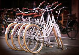 Passeggiando in bicicletta