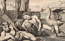 Da dove ha origine il nobile cigno? La storia di Cicno figlio di Poseidone

