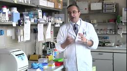 Crob di Rionero in Vulture,  Alessandro Sgambato nuovo direttore scientifico 