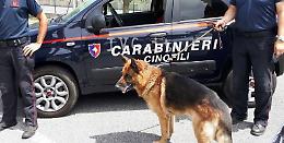 Sorpreso con eroina, hashish e una grossa somma di denaro: arrestato a Genzano