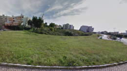Manutenzione verde urbano a Matera, aggiudicata la gara d'appalto