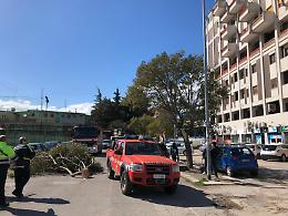 Raffiche di vento, via Mastelloni cade ramo colpisce donna