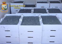 Pesca illegale, sequestrata a Matera oltre una tonnellata di "novellame di sardina"