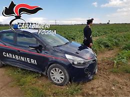 Rodi Garganico, aggredisce con bastone Carabiniere: arrestato 