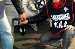 Olio di soia spacciato per extravergine, 2 arresti e 14 indagati tra Cerignola e la Toscana