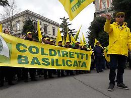  Coldiretti Basilicata torna a far parte del Tavolo verde