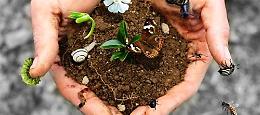 Biodiversità, concluso il percorso formativo degli studenti di Lagopesole