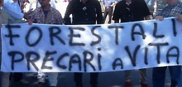 Forestazione, Usb indice una manifestazione a Potenza