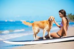Animali in spiaggia, la Regione Puglia fa ordinanze contro la propria legge: incredibile!
