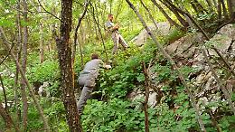 Forestazione, Braia: «Basta tergiversare»