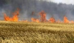 San Severo, identificato l'agricoltore morto carbonizzato