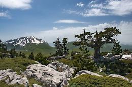 Pollino, oggi la visita ispettiva per la qualifica di Geoparco mondiale Unesco