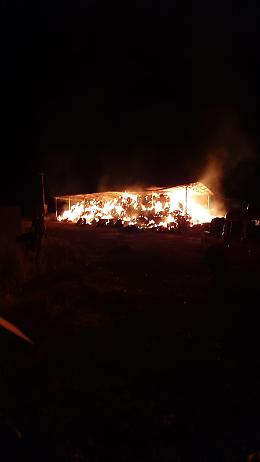 San Giovanni Rotondo, incendio distrugge capannone azienda agricola 