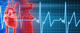 “Il Cuore nei Sassi 2024”, a Matera il Congresso nazionale dei cardiologi 