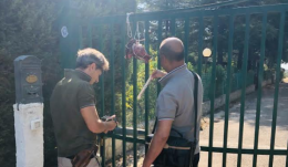 Foggia Calcio, la trattativa diventa mafiosa: teste d'agnello per Bacco, il medico legale che guida una cordata interessata al titolo agonistico