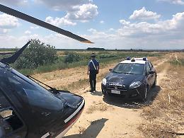 Estorsione da 50mila euro a un imprenditore agricolo di Cerignola, 4 arresti